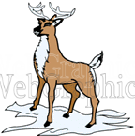illustration - reindeer7-png